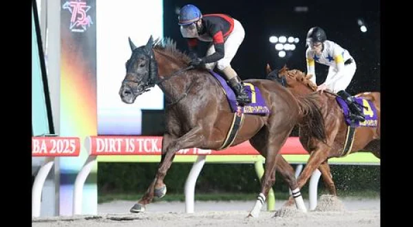グリーンチャンネル地方競馬中継（マイルグランプリ・大井）