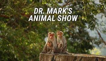 Dr. Mark's Animal Show