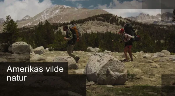 Amerikas vilde natur