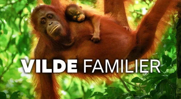 Vilde familier