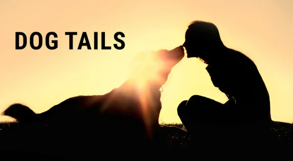 Dog Tails