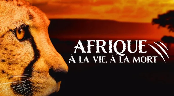 Afrique - A la vie, à la mort