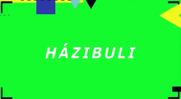 Házibuli