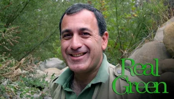 Real Green
