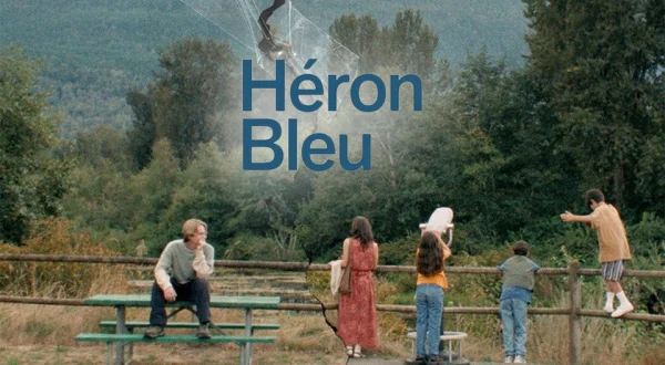 Héron bleu