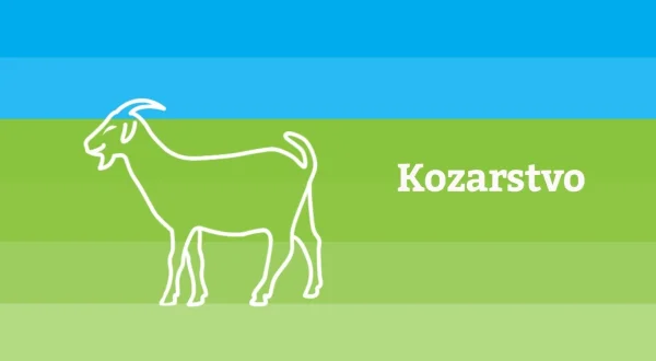 Kozarstvo
