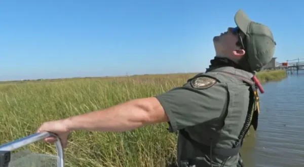 Animal Security: Louisiana