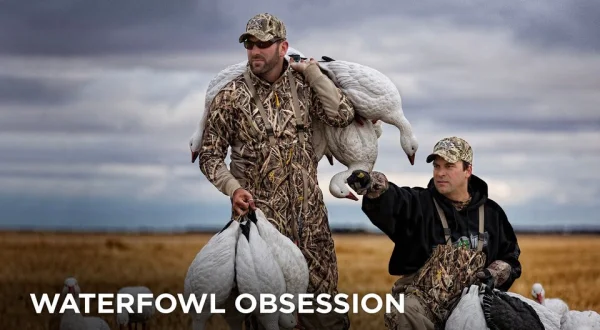 Waterfowl Obsession