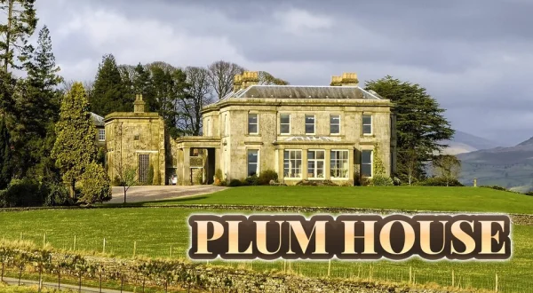 Plum House
