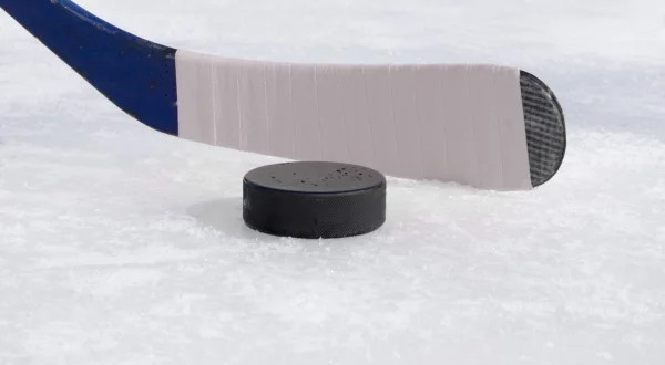 Hockey sur glace : Ligue Magnus