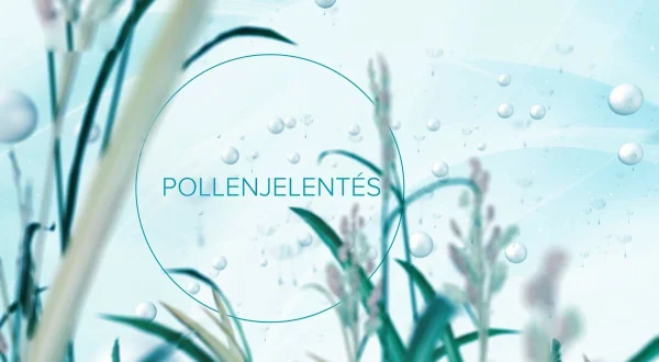 Pollenjelentés