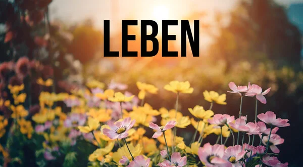 Leben