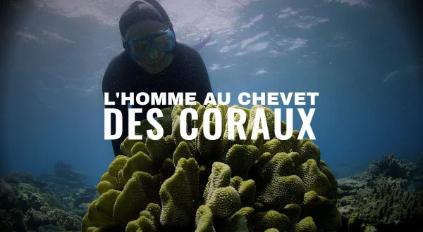 L'homme au chevet des coraux