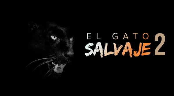 El Gato Salvaje 2