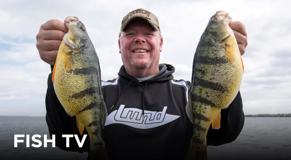 Fish TV