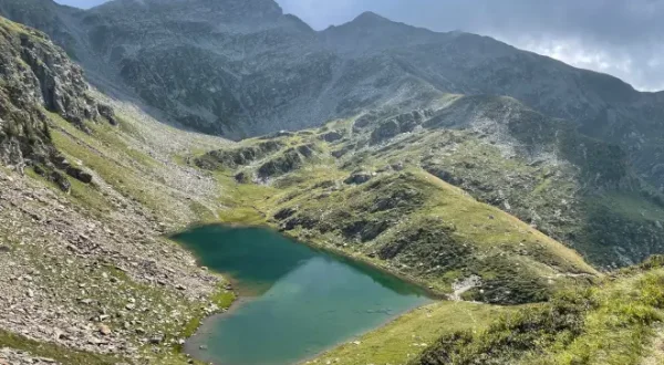 Wilde Schweiz