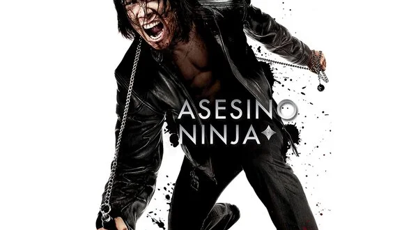 Asesino ninja