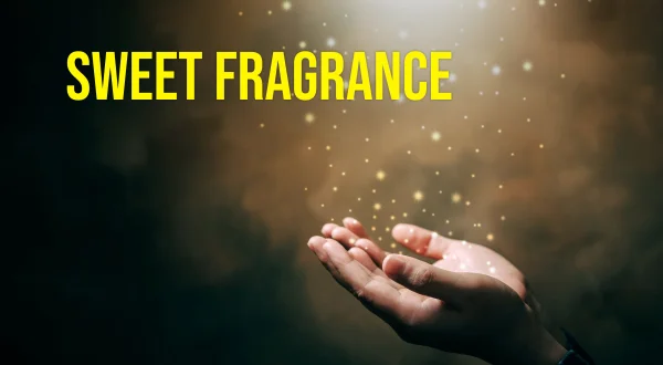 Sweet Fragrance