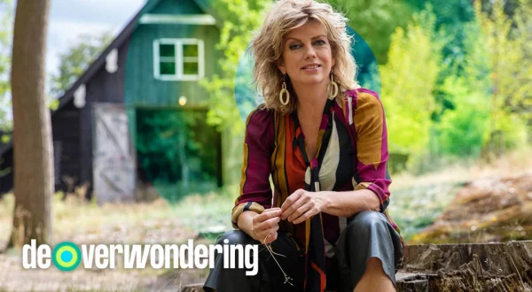 De verwondering