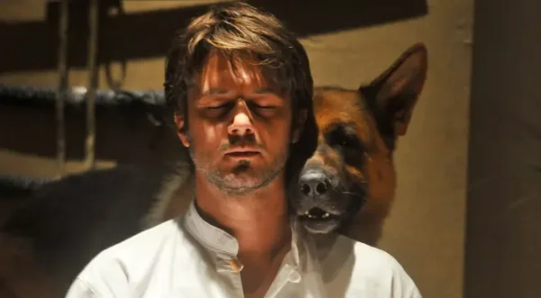 Rex, chien flic