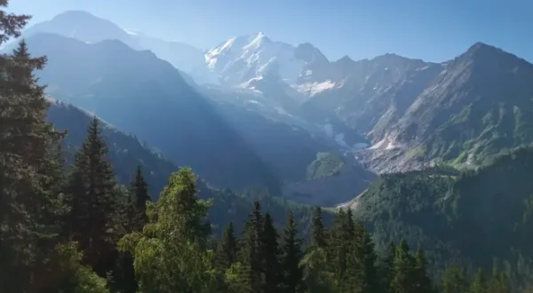 Nature, notre alliée insoupconnée