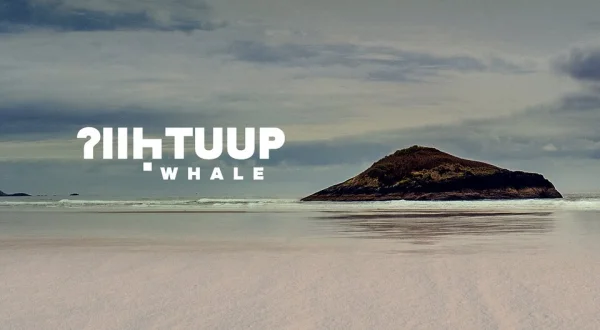 Whale