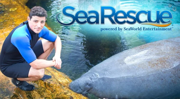 Sea Rescue