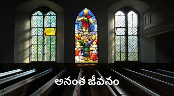 అనంత జీవనం