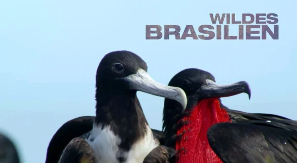 Wildes Brasilien