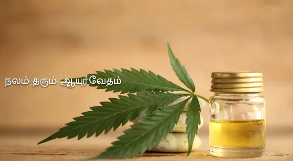 நலம் தரும் ஆயுர்வேதம்