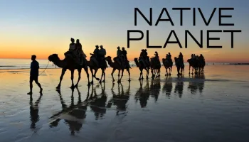 Native Planet