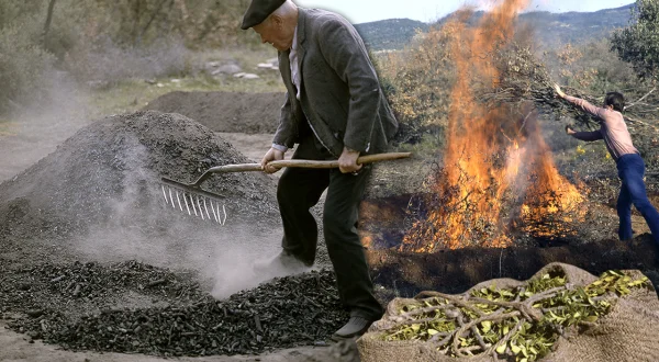 El carbón vegetal o picón. Transformación tradicional de madera en carbón en 1991