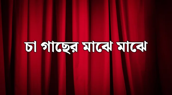 Chah Gachar Maje Maje