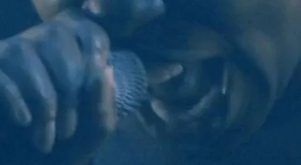Skunk Anansie - Les Vieilles Charrues