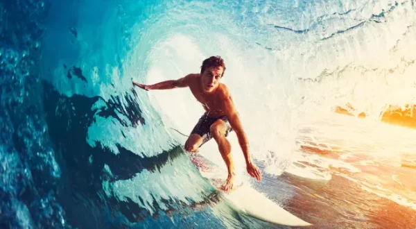 Taming Jaws