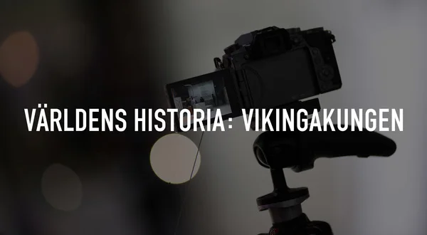 Världens historia: Vikingakungen