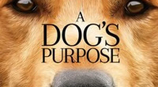 A Dog's Purpose