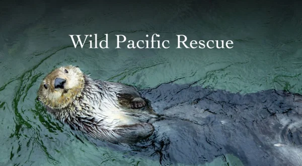 Wild Pacific Rescue
