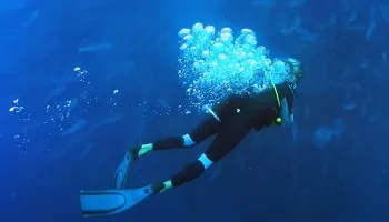 Mundo Submarino
