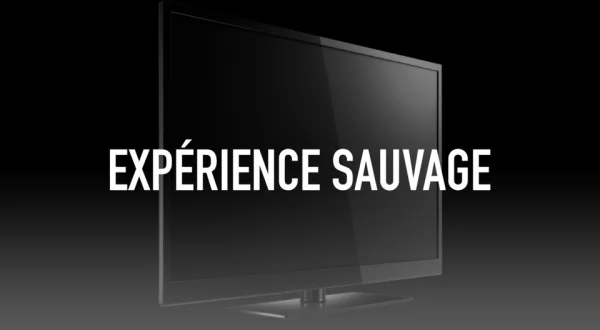 Expérience sauvage