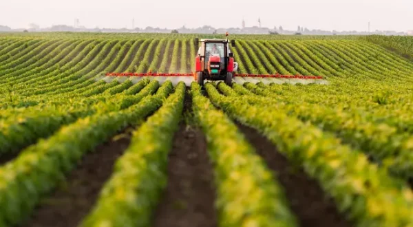 Agrobiznes Info