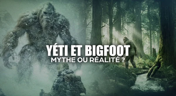 Yéti et bigfoot : mythe ou réalité ?