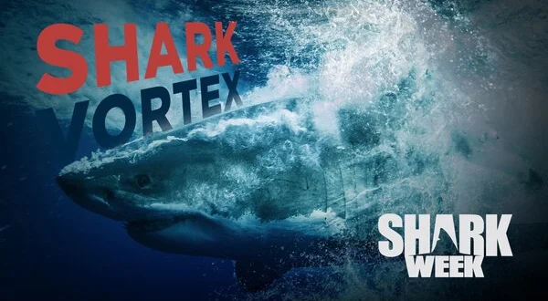 Shark Vortex