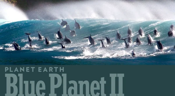Planet Earth: Blue Planet II