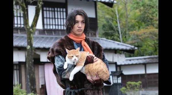 猫忍：終の巻(日)
