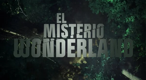 El misterio Wonderland