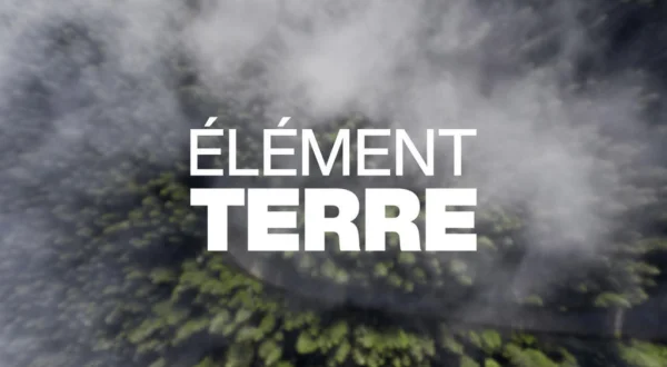 Elément Terre