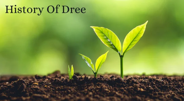 History Of Dree