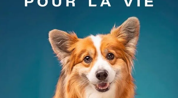 Un chien pour la vie
