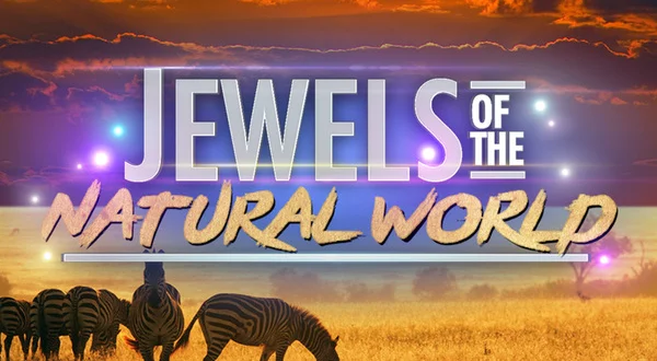 Jewels of the Natural World
